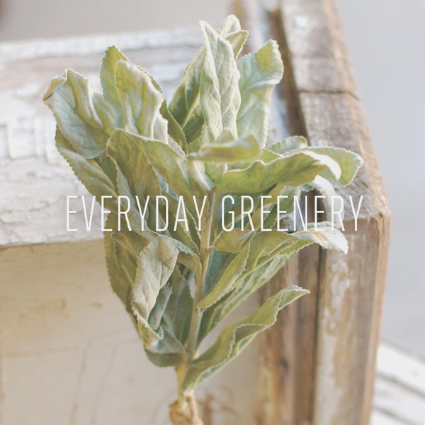 Everyday Greenery
