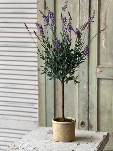 Darley Lavender Pot | 26" | NOT CURRENTLY IN STOCK-New For Spring 2026!