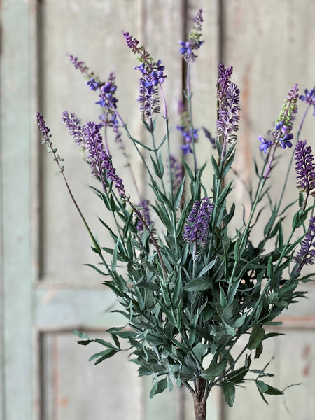Darley Lavender Pot | 26" | NOT CURRENTLY IN STOCK-New For Spring 2026!
