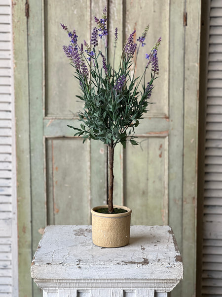 Darley Lavender Pot | 26" | NOT CURRENTLY IN STOCK-New For Spring 2026!