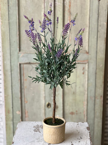 Darley Lavender Pot | 26" | NOT CURRENTLY IN STOCK-New For Spring 2026!