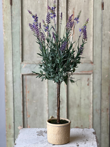Darley Lavender Pot | 26" | NOT CURRENTLY IN STOCK-New For Spring 2026!