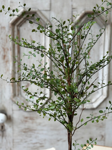 Rarrick Leaves Tree | 30" | NOT CURRENTLY IN STOCK-New For Spring 2027!