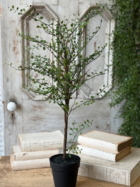 Rarrick Leaves Tree | 30" | NOT CURRENTLY IN STOCK-New For Spring 2027!