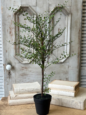 Rarrick Leaves Tree | 30" | NOT CURRENTLY IN STOCK-New For Spring 2027!