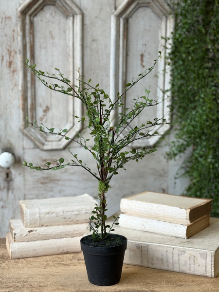 Rarrick Leaves Tree | 24" | NOT CURRENTLY IN STOCK-New For Spring 2027!