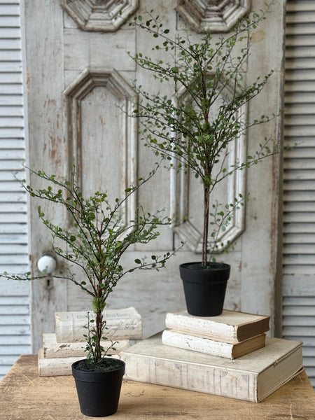 Rarrick Leaves Tree | 24" | NOT CURRENTLY IN STOCK-New For Spring 2027!