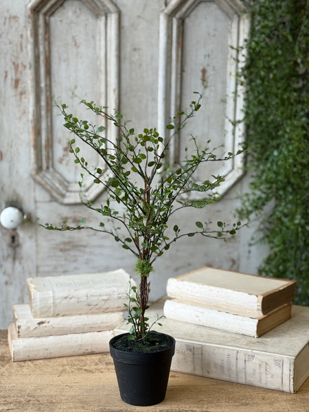 Rarrick Leaves Tree | 24" | NOT CURRENTLY IN STOCK-New For Spring 2027!