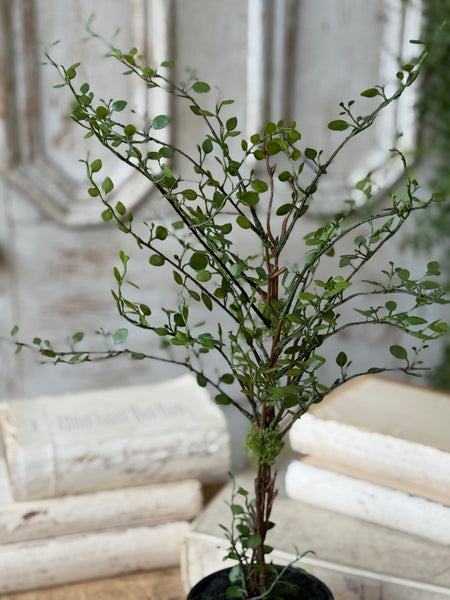 Rarrick Leaves Tree | 24" | NOT CURRENTLY IN STOCK-New For Spring 2027!