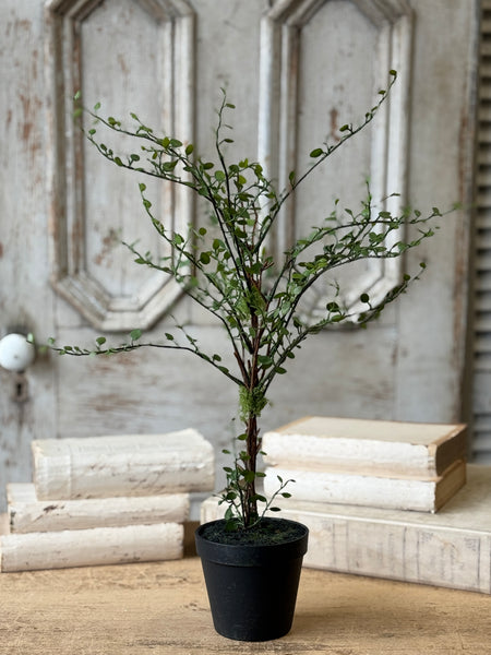 Rarrick Leaves Tree | 24" | NOT CURRENTLY IN STOCK-New For Spring 2027!