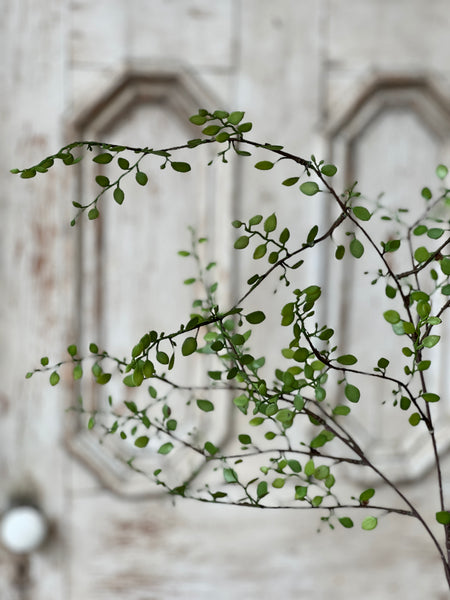 Rarrick Leaves Spray | 40" | NOT CURRENTLY IN STOCK - ETA December