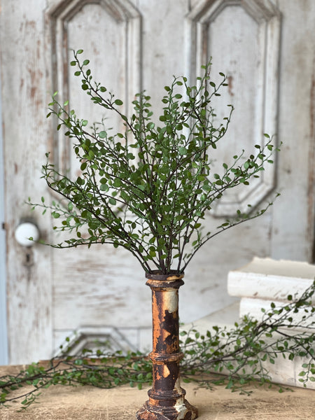 Rarrick Leaves Bush | 22" | NOT CURRENTLY IN STOCK - ETA December