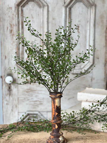 Rarrick Leaves Bush | 22" | NOT CURRENTLY IN STOCK - ETA December