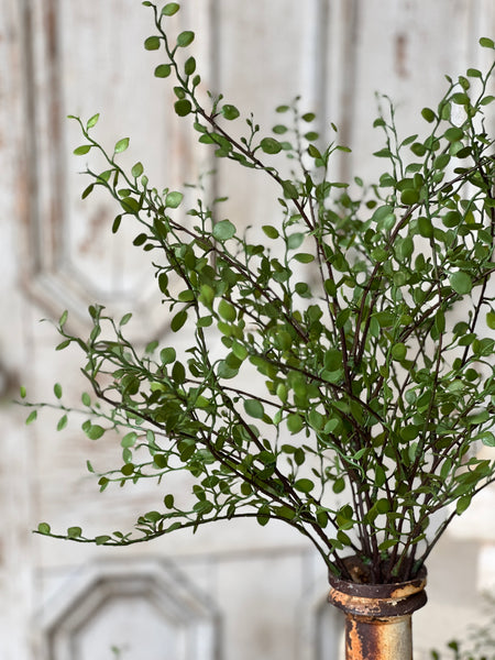 Rarrick Leaves Bush | 22" | NOT CURRENTLY IN STOCK - ETA December