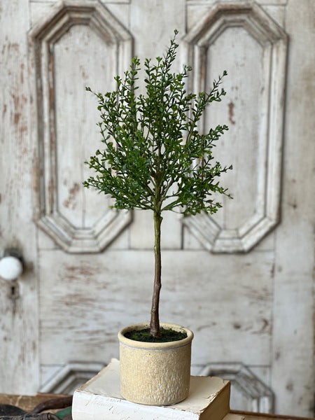 Yardley Topiary | 23" | NOT CURRENTLY IN STOCK - ETA December