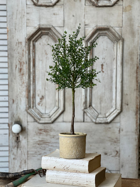 Yardley Topiary | 23" | NOT CURRENTLY IN STOCK - ETA December