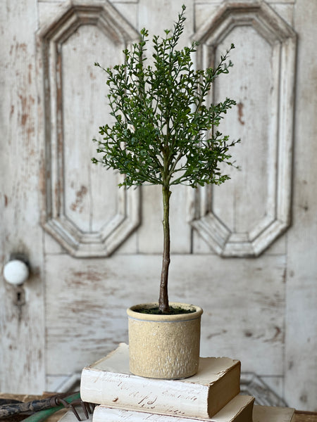 Yardley Topiary | 23" | NOT CURRENTLY IN STOCK - ETA December