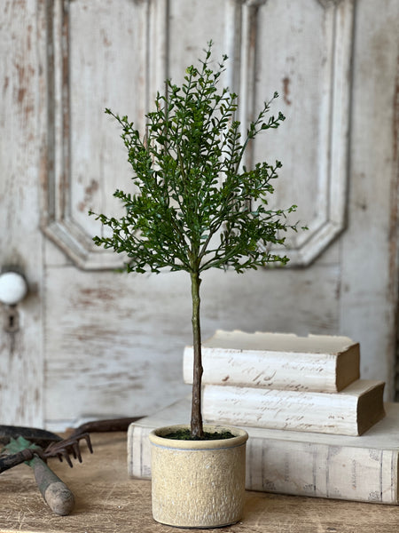 Yardley Topiary | 23" | NOT CURRENTLY IN STOCK - ETA December