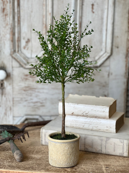 Yardley Topiary | 23" | NOT CURRENTLY IN STOCK - ETA December