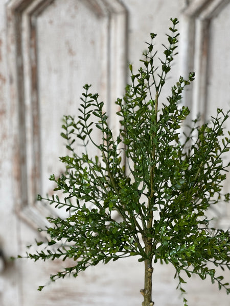 Yardley Topiary | 32" | NOT CURRENTLY IN STOCK - ETA December