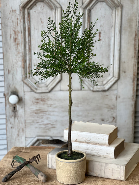 Yardley Topiary | 32" | NOT CURRENTLY IN STOCK - ETA December