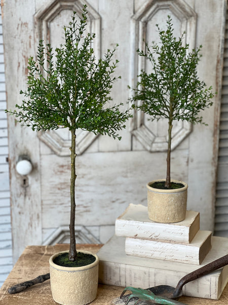Yardley Topiary | 23" | NOT CURRENTLY IN STOCK - ETA December
