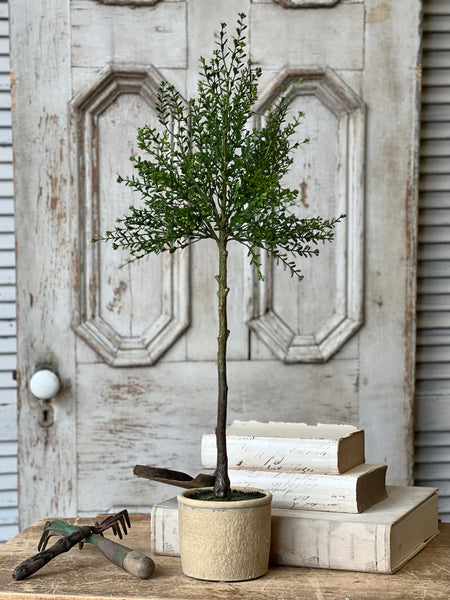 Yardley Topiary | 32" | NOT CURRENTLY IN STOCK - ETA December