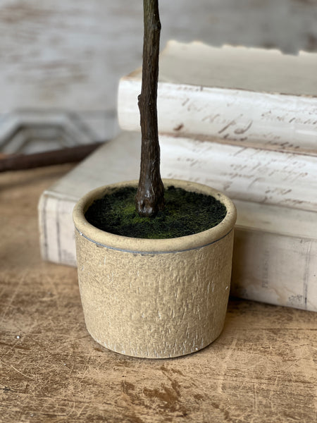 Yardley Topiary | 32" | NOT CURRENTLY IN STOCK - ETA December