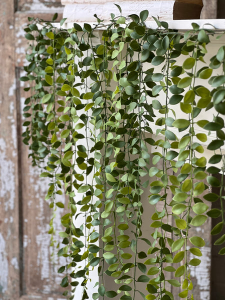 Greenveil Weeping Garland | 69" | Button | NOT CURRENTLY IN STOCK - ETA December