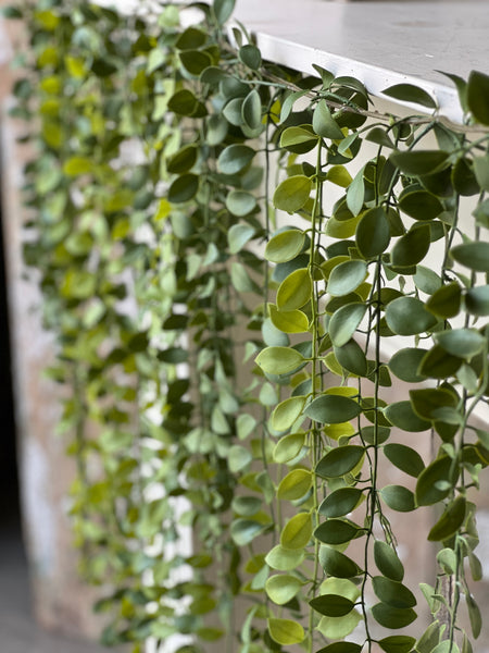 Greenveil Weeping Garland | 69" | Button | NOT CURRENTLY IN STOCK - ETA December