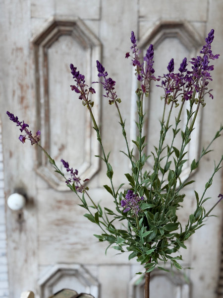 Genevive Lavender in Pot | 27" | NOT CURRENTLY IN STOCK-New For Spring 2027!