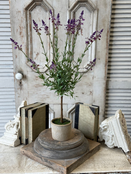 Genevive Lavender in Pot | 27" | NOT CURRENTLY IN STOCK-New For Spring 2027!