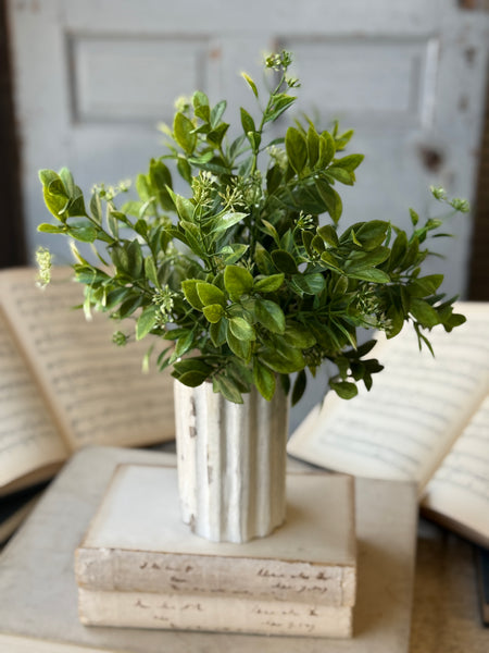 Overbrook Greens Bush | 15" | NOT CURRENTLY IN STOCK-New For Spring 2027!