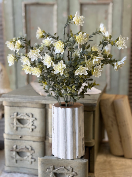 Cassandra Bush | 18" | Halo | NOT CURRENTLY IN STOCK-New For Spring 2027!