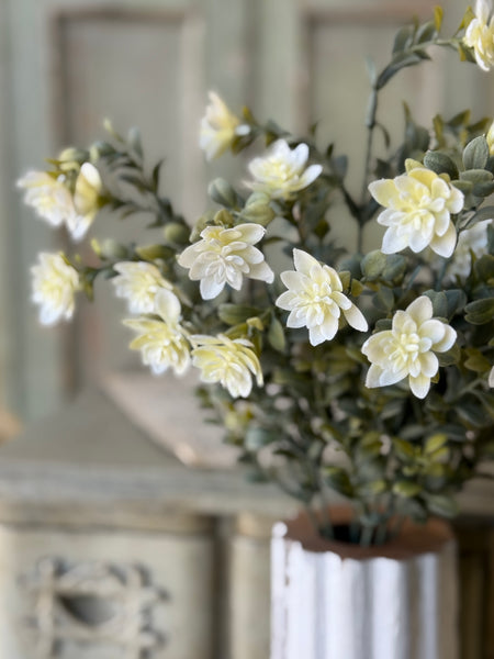 Cassandra Bush | 18" | Halo | NOT CURRENTLY IN STOCK-New For Spring 2027!