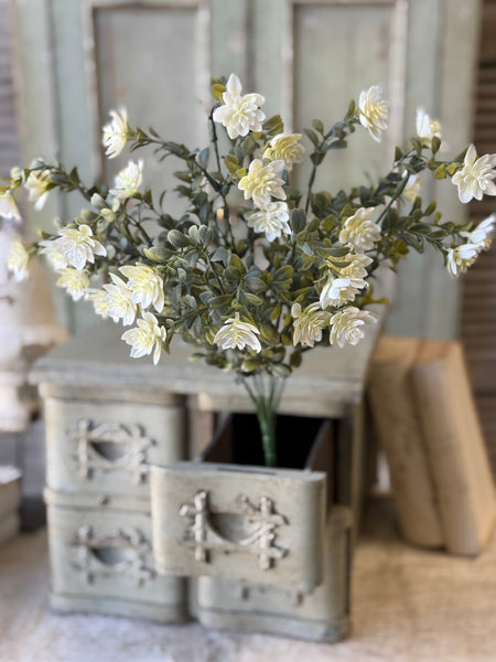 Cassandra Bush | 18" | Halo | NOT CURRENTLY IN STOCK-New For Spring 2027!