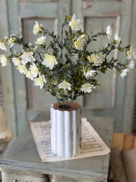 Cassandra Bush | 18" | Halo | NOT CURRENTLY IN STOCK-New For Spring 2027!