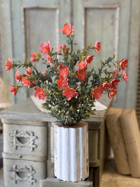 Cassandra Bush | 18" | Priss | NOT CURRENTLY IN STOCK-New For Spring 2027!