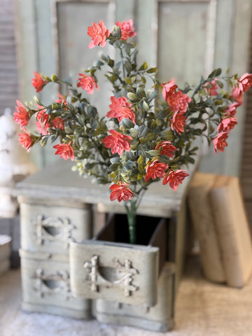 Cassandra Bush | 18" | Priss | NOT CURRENTLY IN STOCK-New For Spring 2027!