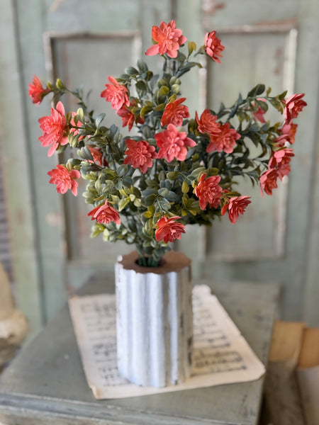 Cassandra Bush | 18" | Priss | NOT CURRENTLY IN STOCK-New For Spring 2027!