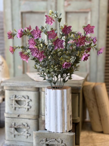 Cassandra Bush | 18" | Maven | NOT CURRENTLY IN STOCK-New For Spring 2027!