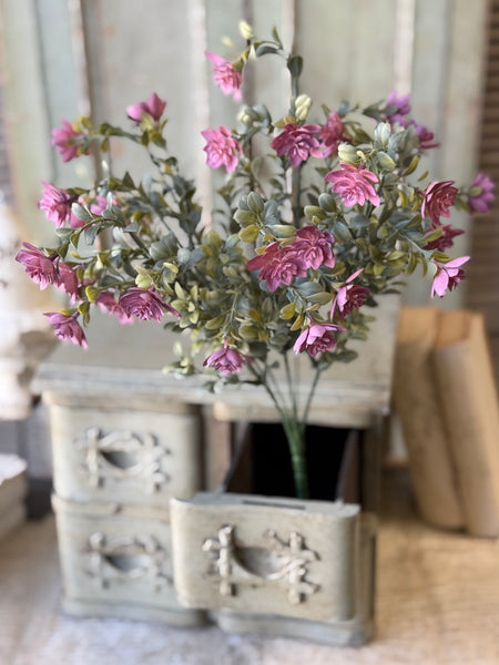 Cassandra Bush | 18" | Maven | NOT CURRENTLY IN STOCK-New For Spring 2027!