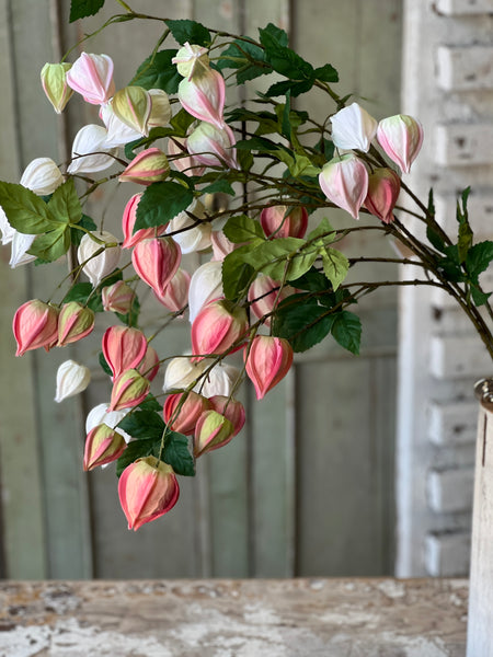 Lamplighter Buds | 33" | Blush | Limited Stock - Last 36pcs! (will be discontinued for Spring 2026)