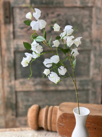 Clutch Flower | 31" | Cream | NOT CURRENTLY IN STOCK-New For Spring 2026!