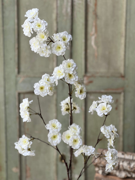 Antioch Blooms Spray | 39" | Cream | NOT CURRENTLY IN STOCK-New For Spring 2026!