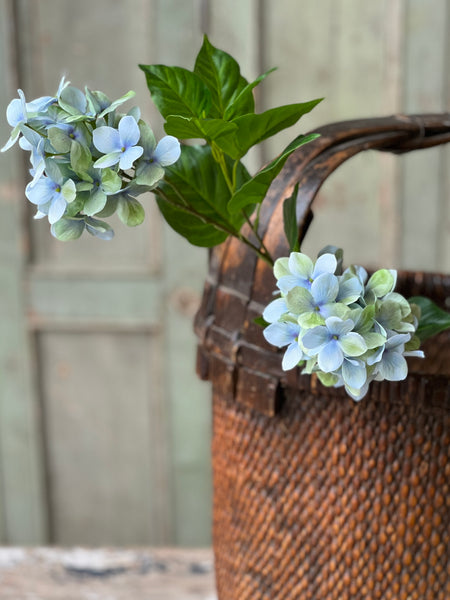 Pinnacle Hydrangea | 30" | Seaglass