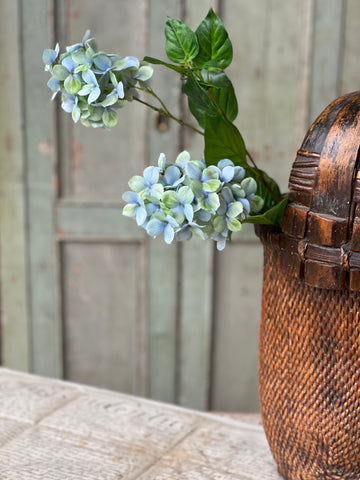 Pinnacle Hydrangea | 30" | Seaglass