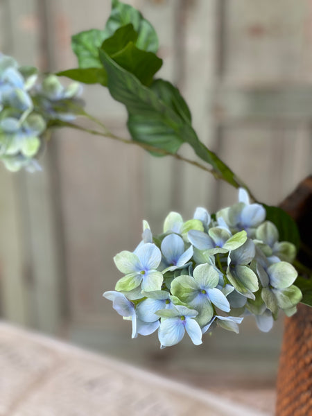 Pinnacle Hydrangea | 30" | Seaglass