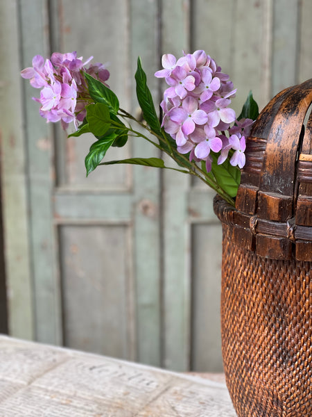 Pinnacle Hydrangea | 30" | Mystic