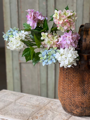 Pinnacle Hydrangea | 30" | Cream